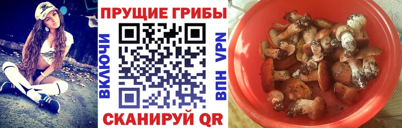 где можно купить наркотик  Яблоновский  Галлюциногенные грибы мицелий 